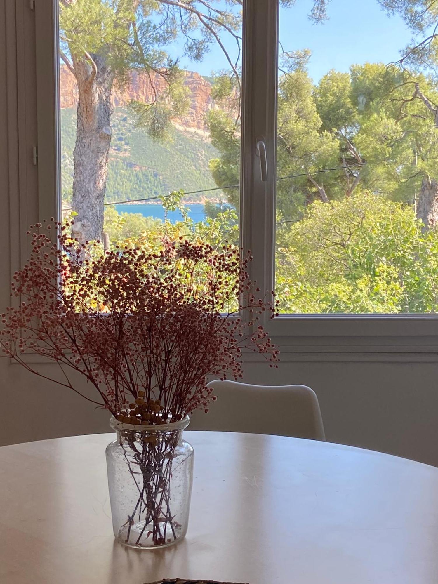 Appartements Avec Jardin Dans Villa Rocaille カシ エクステリア 写真