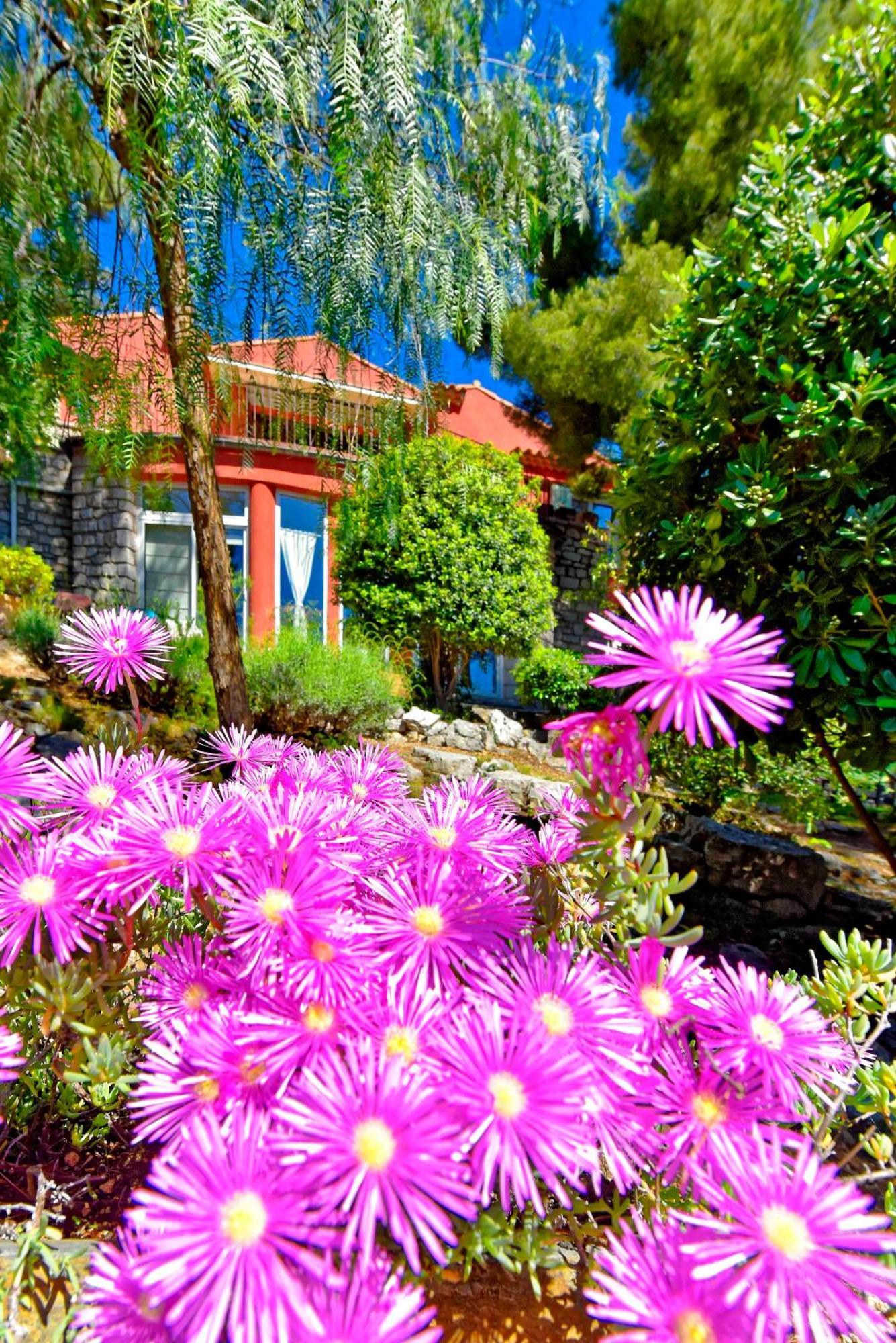 Appartements Avec Jardin Dans Villa Rocaille カシ エクステリア 写真